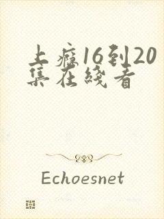 上瘾16到20集在线看