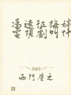 冯远征梅婷演的电视剧叫什么名字