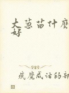 大葱苗什么肥最好