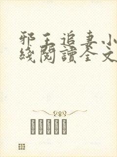 邪王追妻小说在线阅读全文
