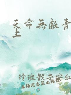 天命无敌青鸾峰上