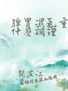 脾胃湿气重吃点什么调理