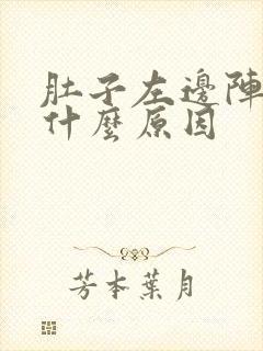 肚子左边阵痛是什么原因