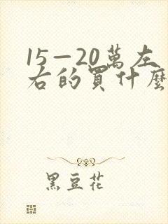 15—20万左右的买什么车好