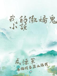 我的傲娇鬼夫 小说