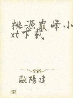 桃源巅峰小说txt下载