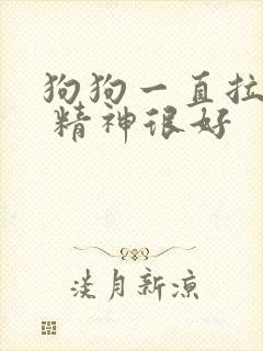 狗狗一直拉软便 精神很好