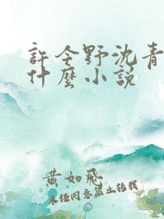 许今野沈青棠是什么小说