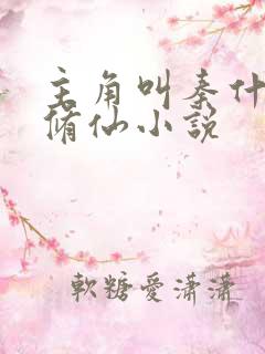 主角叫秦什么的修仙小说