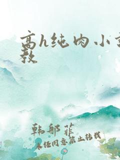 高h纯肉小说调教