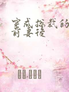 穿成总裁的炮灰前妻后