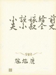 小说嫁给前未婚夫小叔全文阅读
