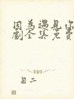 因为遇见你电视剧全集免费高清