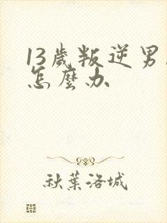 13岁叛逆男孩怎么办
