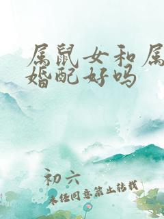 属鼠女和属牛男婚配好吗