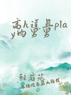 高h道具play肉男男