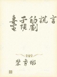 妻子的谎言韩剧电视剧