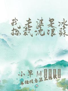 我老婆是冰山女总裁沈浪苏若雪
