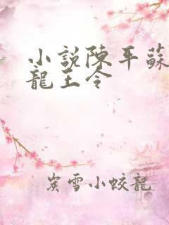 小说陈平苏雨琪龙王令