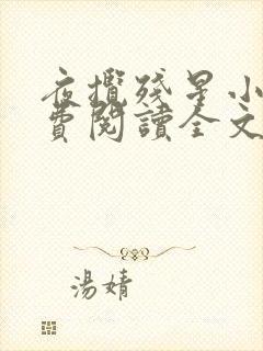 夜揽残星小说免费阅读全文