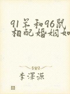 91羊和96鼠相配婚姻如何