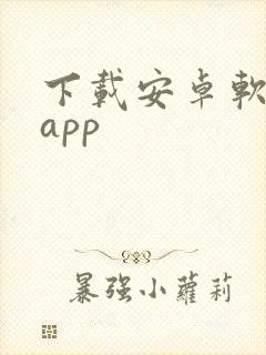 下载安卓软件的app