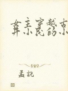 女主穿越古代市井小民的小说