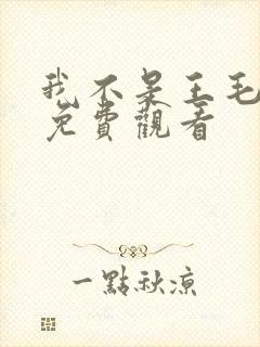 我不是王毛电影免费观看