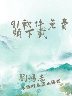 91软件免费视频下载