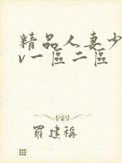 精品人妻少妇av一区二区