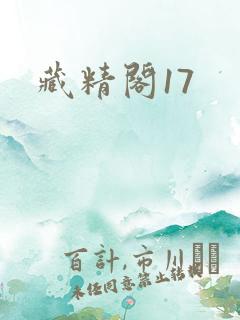 藏精阁17
