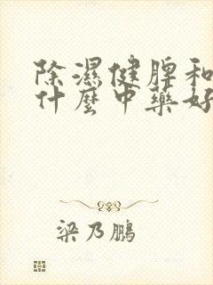除湿健脾和胃吃什么中药好