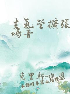 支气管扩张 哮鸣音