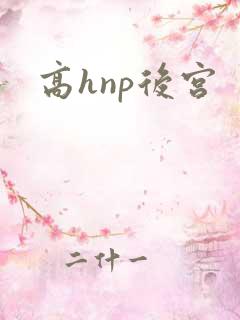 高hnp后宫