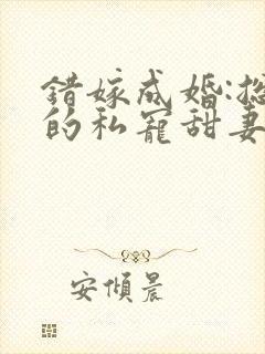 错嫁成婚:总裁的私宠甜妻 风亭