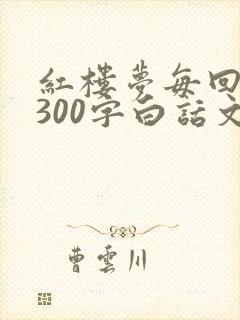 红楼梦每回概括300字白话文