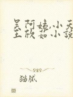吴阿姨,小天,王欣茹小说免费阅读