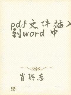 pdf文件插入到word 中