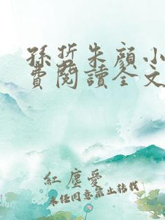 孙哲朱颜小说免费阅读全文最新章节