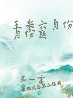 玉米六月份种几月份熟