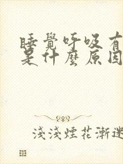 睡觉呼吸有声音是什么原因