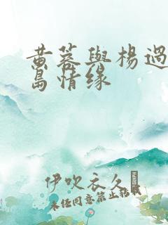 黄蓉与杨过之荒岛情缘