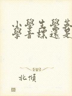 小学生学英语先学音标还是自然拼读