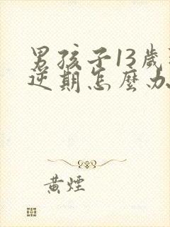 男孩子13岁叛逆期怎么办