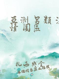 亚洲 另类 激情 图区