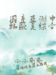 国产亚洲中文日韩欧美综合网