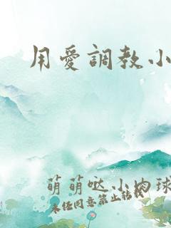 用爱调教小说