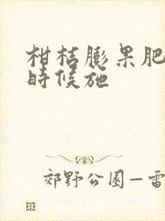 柑桔膨果肥什么时候施