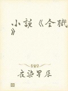 小说《全职剑修》