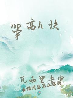 np 高h 快穿